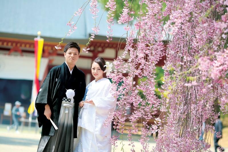 しだれ桜が美しい世界遺産・毛越寺で
