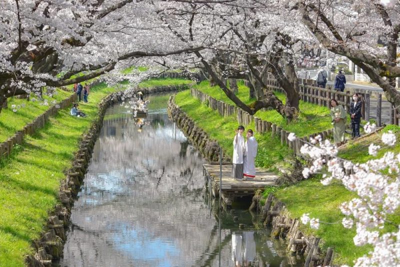 縁結びの神様 川越氷川神社の挙式が4月から再開 会食施設もオープン 日本の結婚式