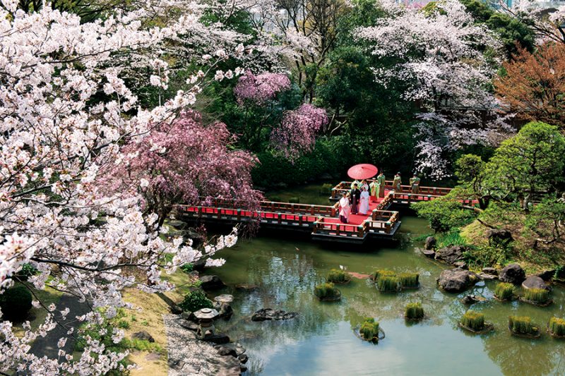 東京原宿 東郷神社の挙式〜陽光と緑、花々に包まれて