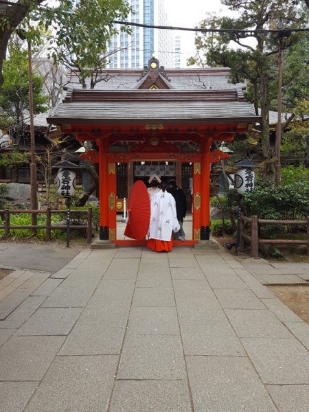 愛宕神社朱門 参進 巫女3 日本の結婚式