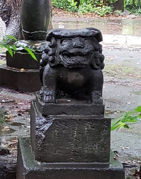 赤坂氷川神社　狛犬3