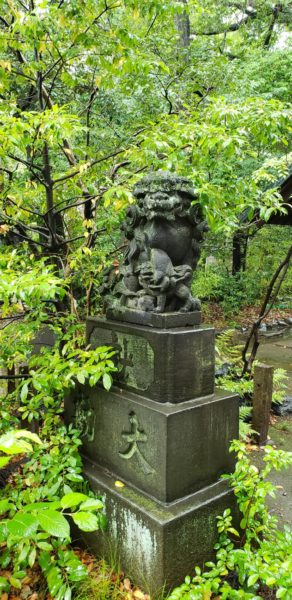 赤坂氷川神社　狛犬4