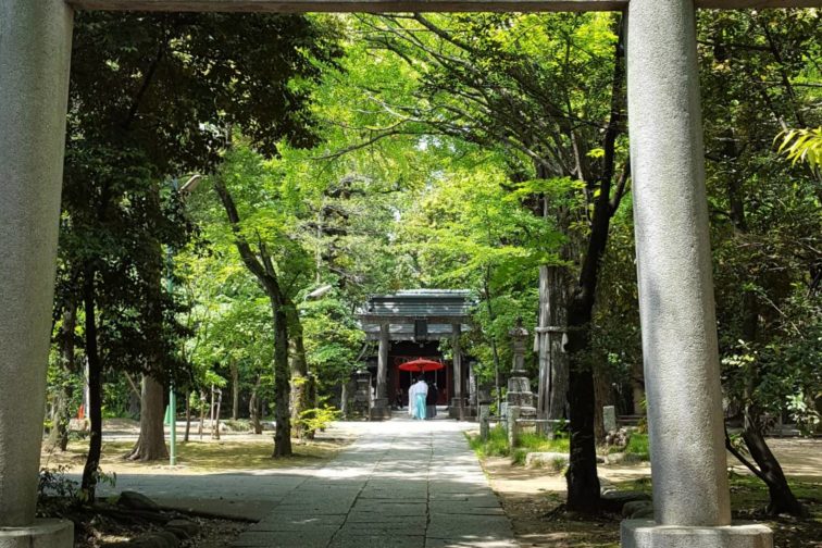 赤坂氷川神社特別プラン