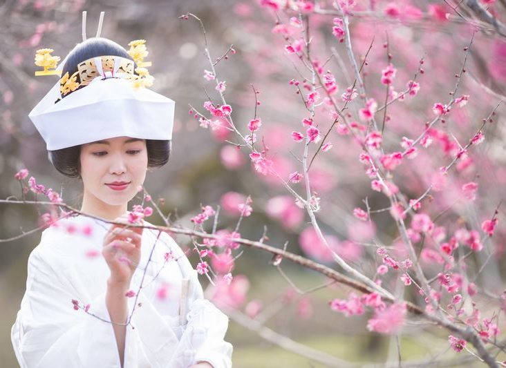 梅の名所、北野天満宮で結婚式相談フェア開催！満開の梅が見頃！