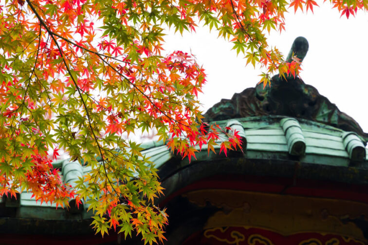 【赤坂氷川神社】赤坂・六本木の氏神*江戸時代から続く都重宝社殿で結婚式を