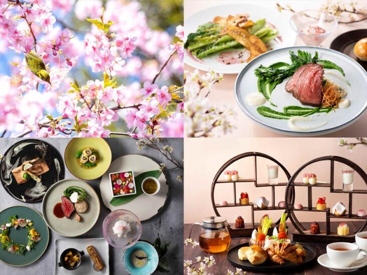 【八芳園】3/20〜4/10開催　400年以上続く日本庭園が春色に染まるライトアップイベント　春、薫る。『TOKYO SAKURA GARDEN SPRING FESTIVAL 2024』