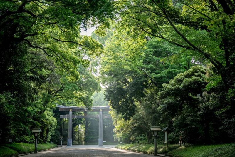 フォレストテラス明治神宮