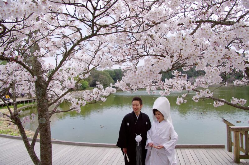 橿原神宮養正殿