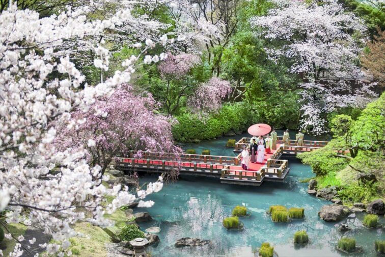 早得！≪26年3～6月≫季節の花が彩る陽春プラン