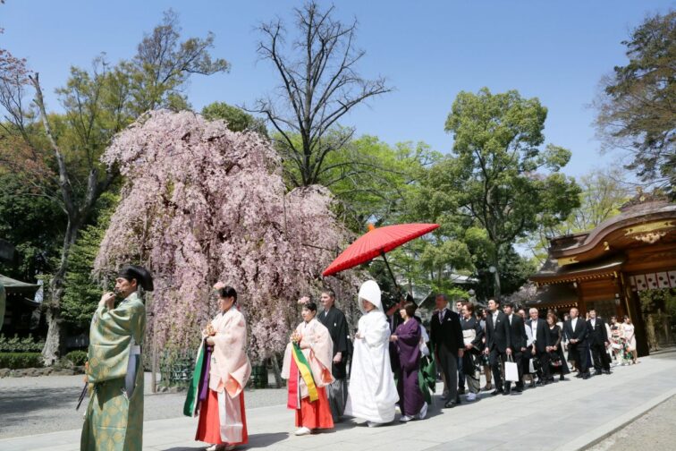 桜から新緑が眩しい季節に【挙式＋フォト】プラン