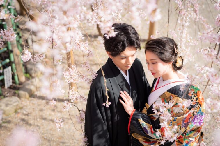 \桜から新緑の季節に/和装1点 境内ロケフォトプラン