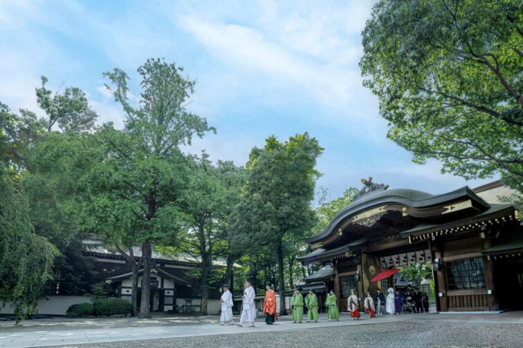 2026年【4月~8月】80名498万→290万◆208万優待