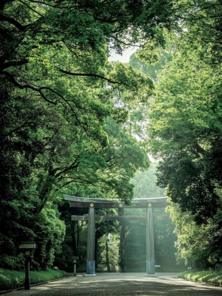 豊かな杜に抱かれた明治神宮で古式ゆかしい神前式を