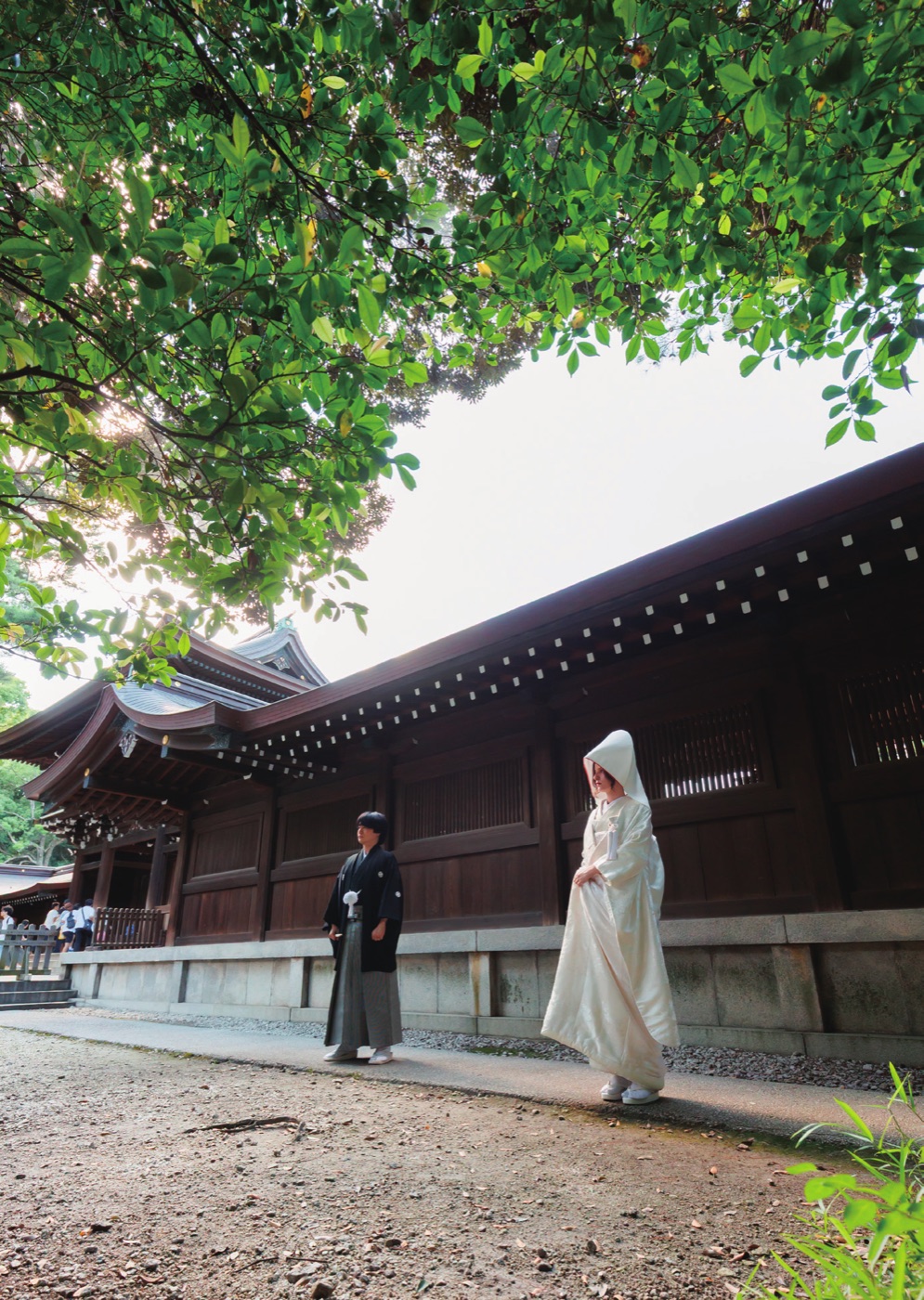 木々の緑に包まれた明治神宮で向き合うふたり